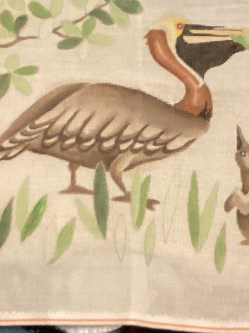 Large Brown Pelican with smaller pelican cross stitch form